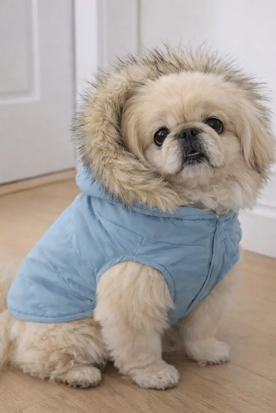 Canine Styles Dog Winter Coat Blue Puffer Insulated Jacket With Remove Hood